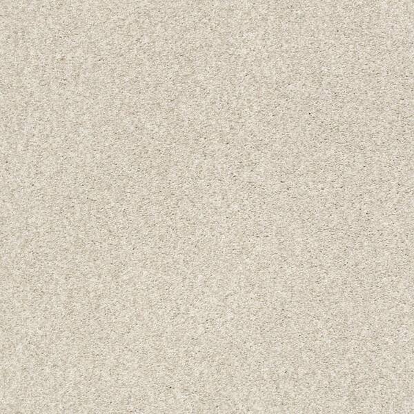 Lifeproof Karma II - Boss Tan - Brown 50.5 oz. Nylon Texture Installed Carpet