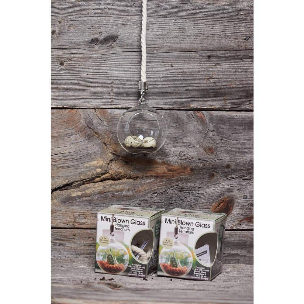 Primitive Planters Hanging Mini Glass Terrarium with Hanger (1-Pack)