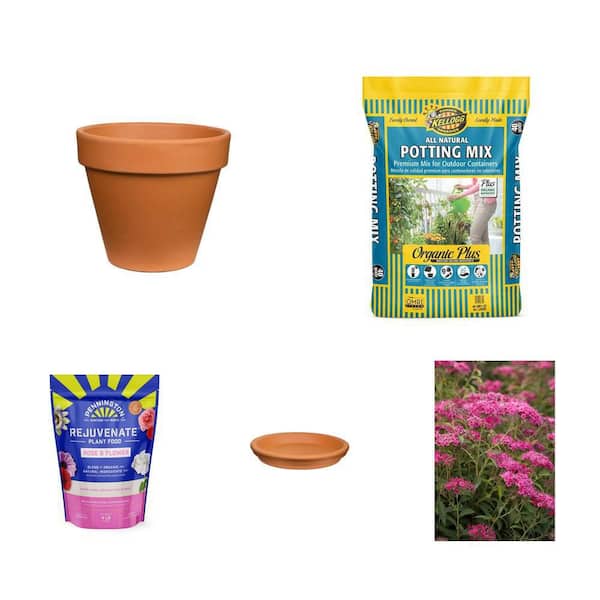 17 in. Terra Cotta Pot, 40 qt. Mix, 4 lb. Plant Food, 16 in. Saucer, 3 Gal. Spirea Combo