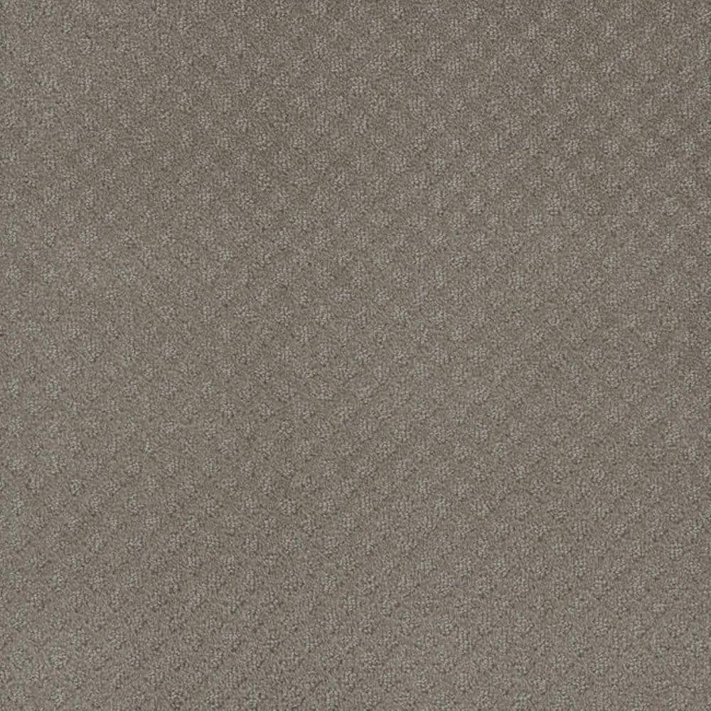 8 in. x 8 in. Pattern Carpet Sample-Bell Loop-Color Whispers price history on PriceWatchPro