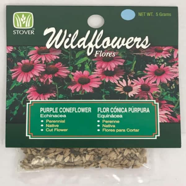 Purple Coneflower Echinacea Flower Seed