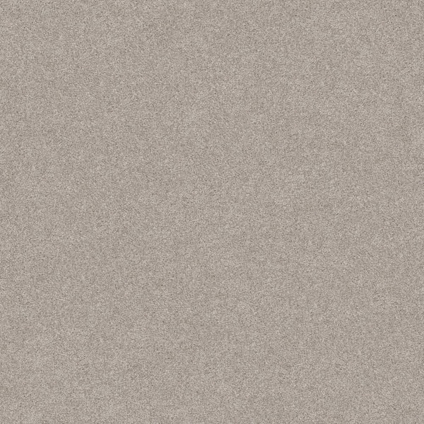 Lifeproof Coastal Charm II Color Harmony Beige 56 oz. Nylon Texture Installed Carpet