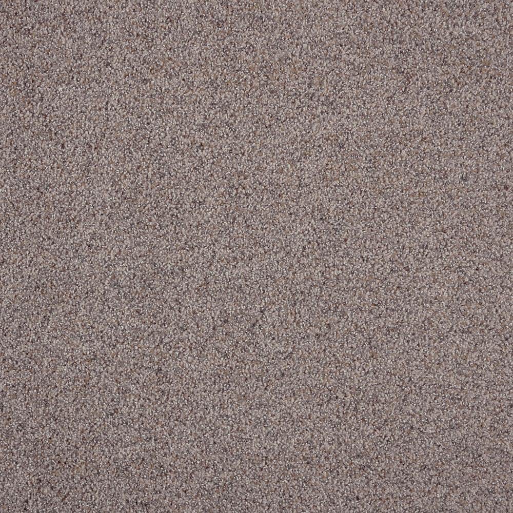 8 in. x 8 in. Texture Carpet Sample - Playful Moments I (M) -Color Whimsy price history on PriceWatchPro