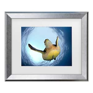 Henry Jager Green Turtle in Snells Window Matted Framed Photography Wall Art 14.5 in. x 17.5 in.