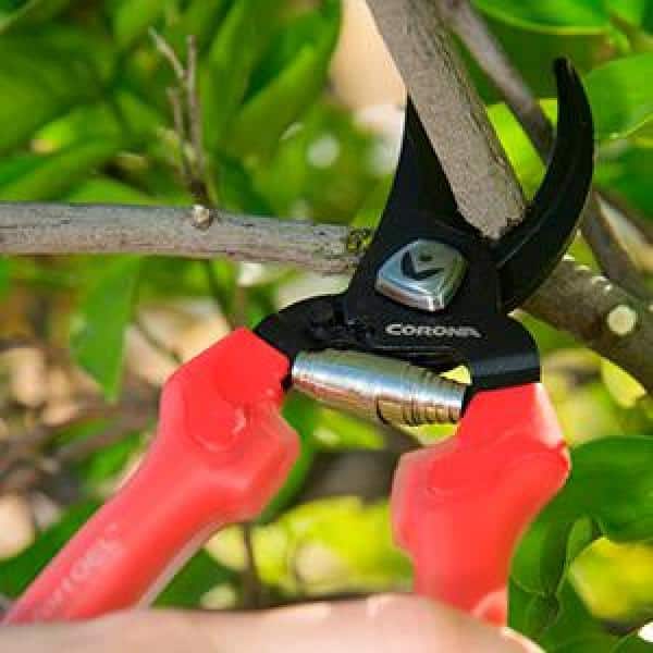 Floral garden scissors stainless steel blade pruning sheer for plants flower  stem cutter PP handle washable material