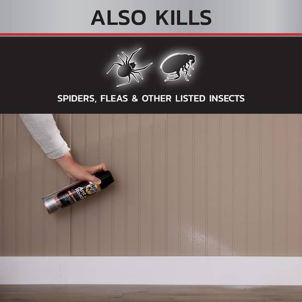 Real-Kill 17.5 oz. Ant and Roach Insect Killer Aerosol Spray HG