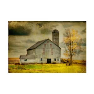 Old Barn on Stormy Afternoon by Lois Bryan Floater Frame Architecture Wall Art 24 in. x 16 in.