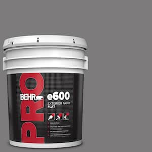 5 gal. #BXC-58 Stormy Gray Flat Exterior Paint