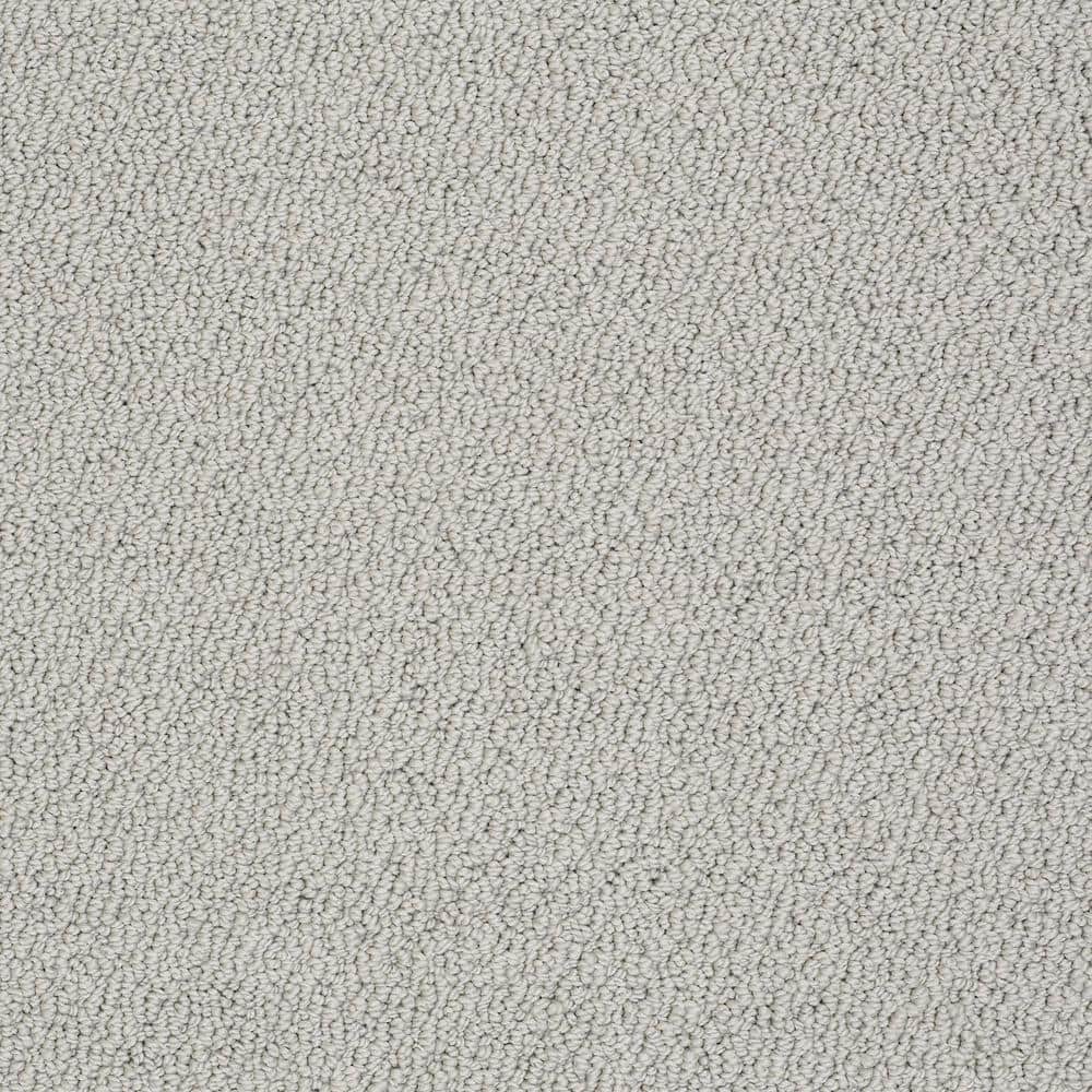 8 in. x 8 in. Loop Carpet Sample - Lightbourne - Color Dove price history on PriceWatchPro