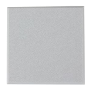 4 in. White Wall Guard