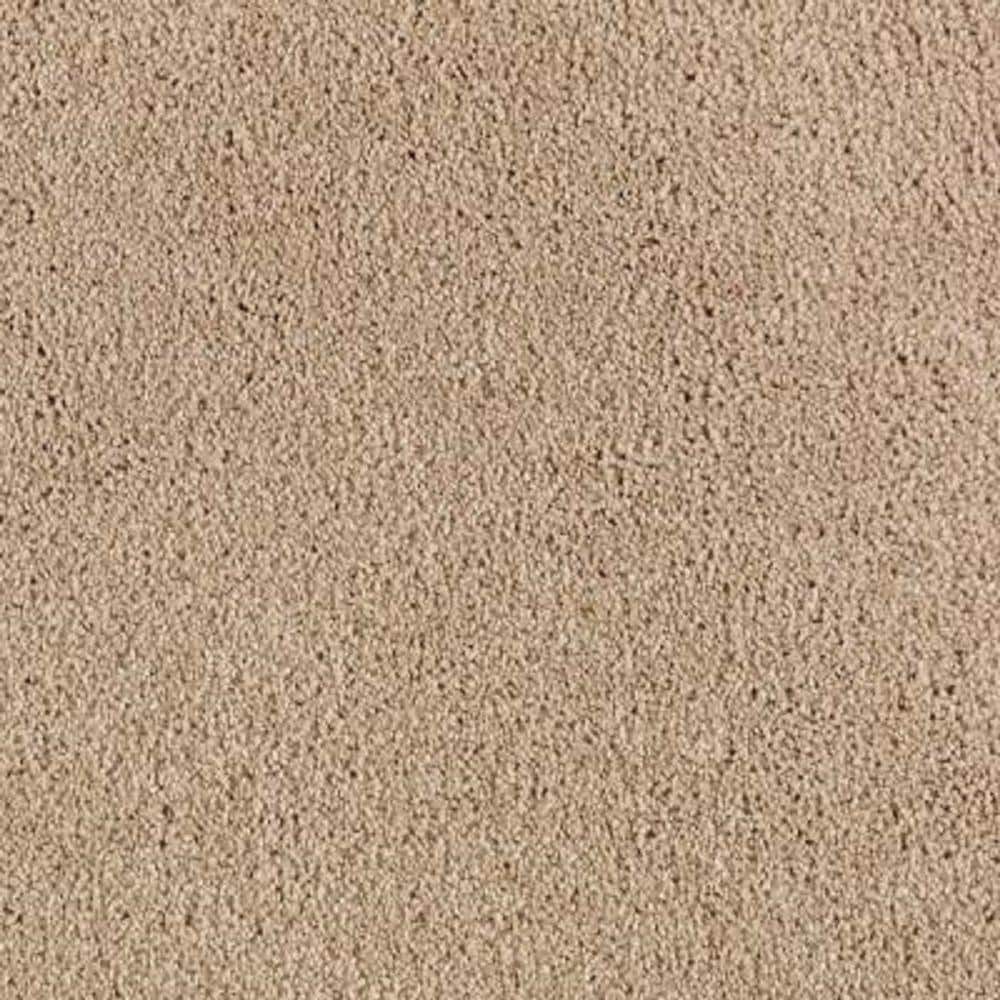 8 in. x 8 in. Texture Carpet Sample - Ambrosina II -Color Bittersweet price history on PriceWatchPro