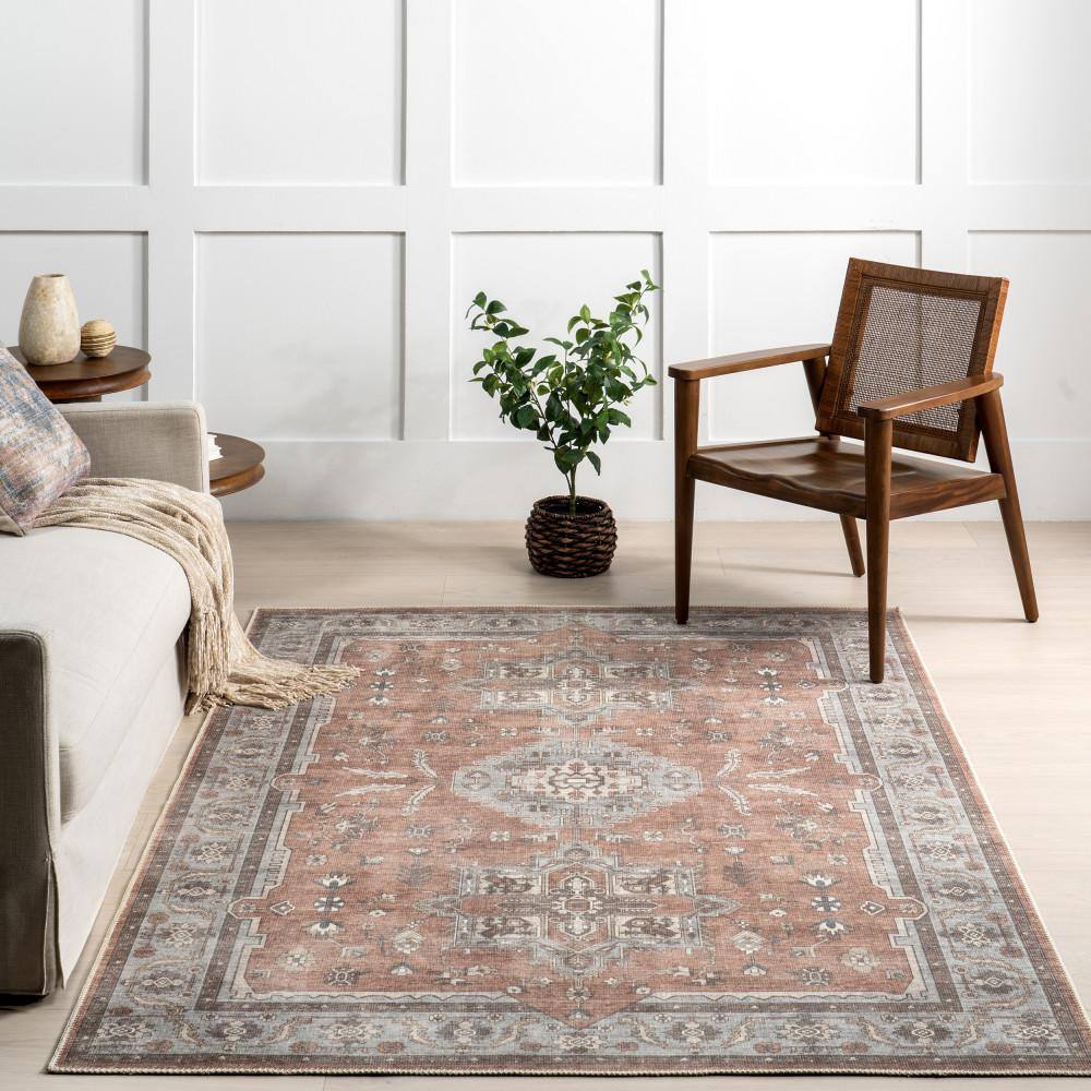 Daleyza Rust Red Cotton Medallion 5' x 8' Area Rug