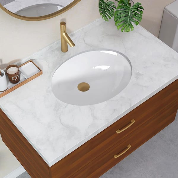 NTQ 16.5 in. Oval Bathroom Sink Vitreous China Undermount  Lavatory Vanity Vessel Sink Basin in White with Overflow Drain