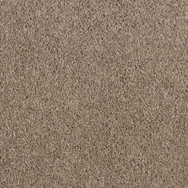 Lifeproof 8 in. x 8 in. Texture Carpet Sample - Ambrosina I -Color Rocky Cliffs