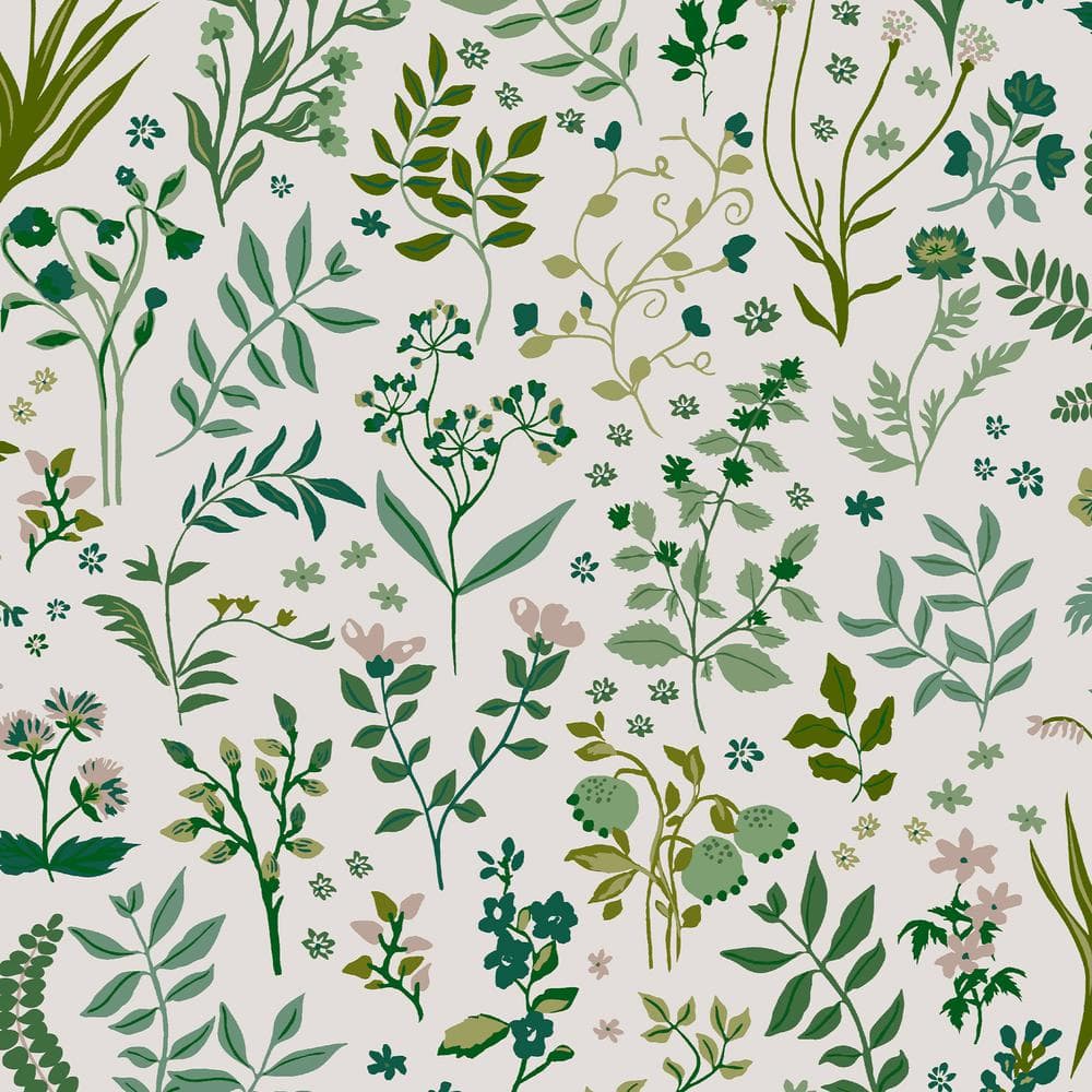 Holcombe Floral Creme Matte Non-Pasted Vinyl Wallpaper price history on PriceWatchPro