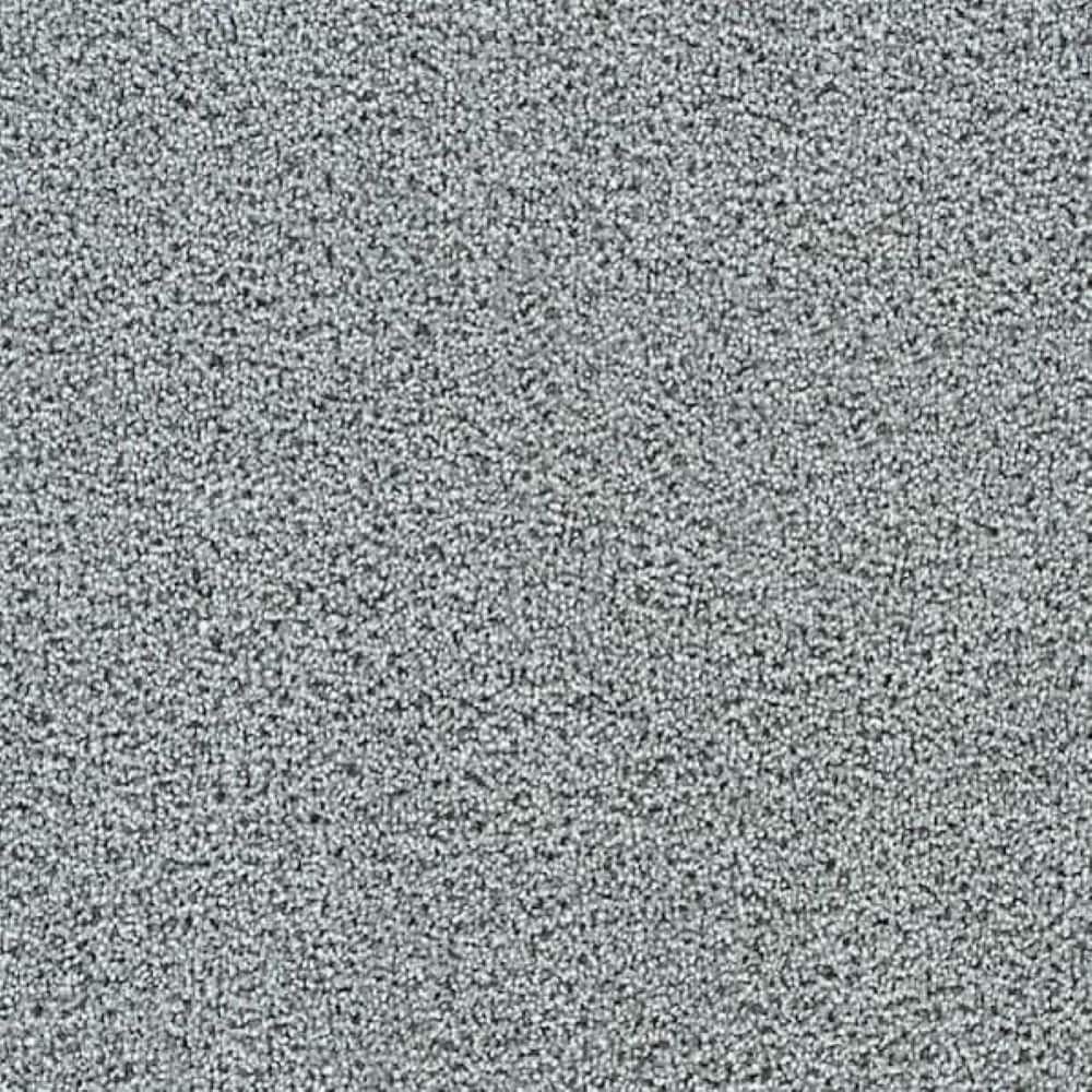 8 in. x 8 in. Texture Carpet Sample-Friendship Fables-Color Temperance price history on PriceWatchPro