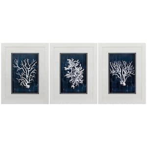 "Wood Coral Blue S/3" Framed Wall Art 27 in. x 21 in