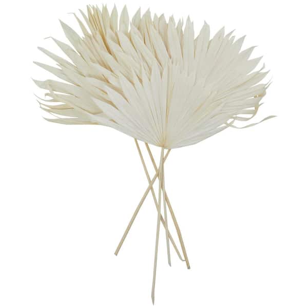 Novogratz 31 in. Large Sun Spear Palm Leaf Natural Foliage (1 Bundle)