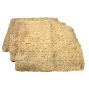 Aspen Pad Set (1 Back Pad 27.5 in. x 27.75 in. x 0.5 in. and 2 Side Pads 22.75 in. x 27.75 in. x 0.25 in.)