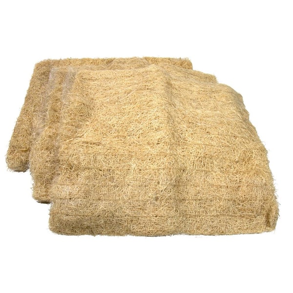 Champion Cooler Aspen Pad Set (1 Back Pad 27.5 in. x 27.75 in. x 0.5 in. and 2 Side Pads 22.75 in. x 27.75 in. x 0.25 in.)