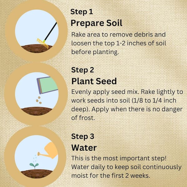 EARTH SCIENCE 2 lbs. Zinnia All-In-One Wild Flower Mix with Seed