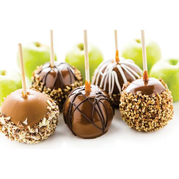 Electric Chocolate Candy Apple Maker 16oz Melting Pot Topping Tray Dessert Party 