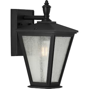 Cardiff Collection 1-Light Textured Black Clear Seeded Glass New Traditional Outdoor Small Wall Lantern Light
