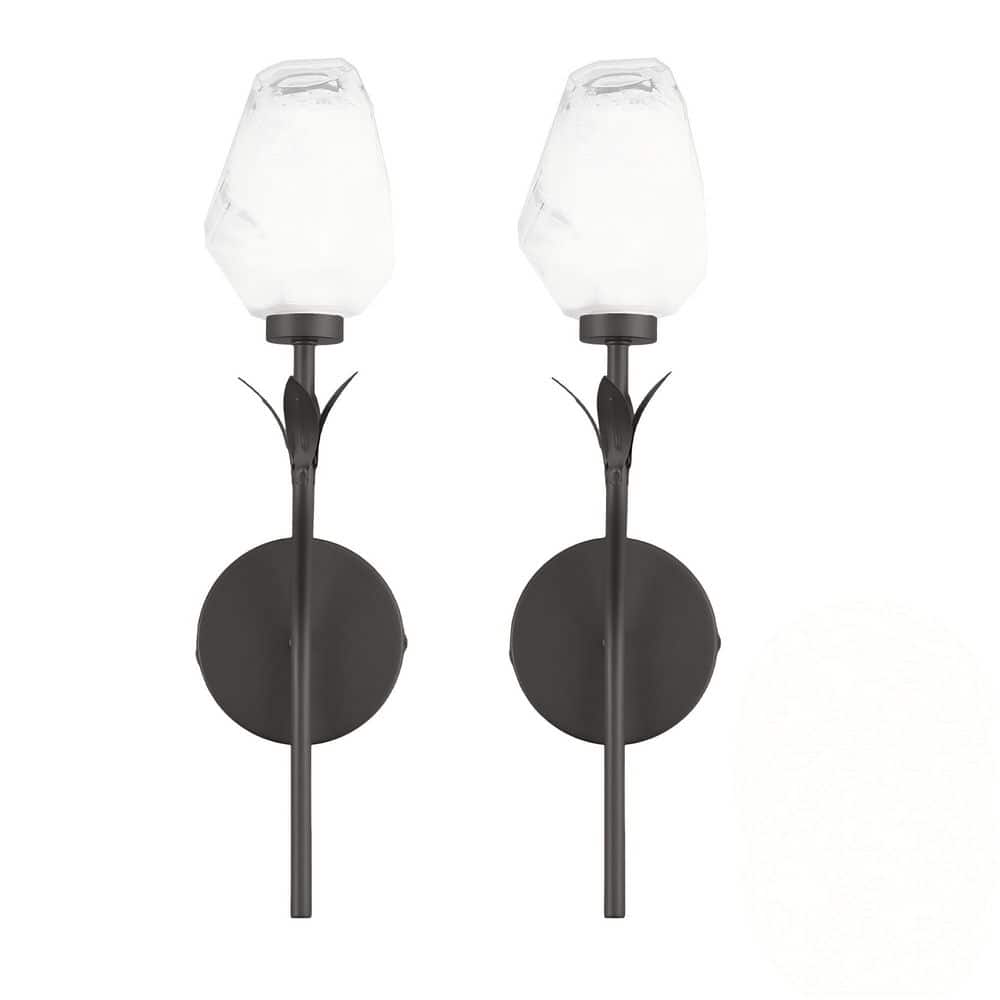 5.7 in 2-Pack Floral Art Glass LED Wall Light, Metal Matte Black Vanity Light, RGB+CW, Dimmable for Bathroom price history on PriceWatchPro