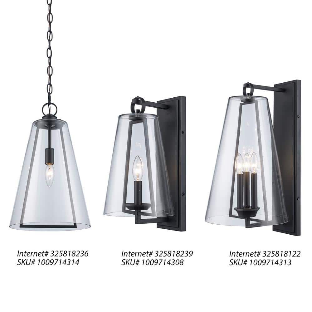 Siobhan Medium Black Metal and Clear Glass Hanging Pendant Light