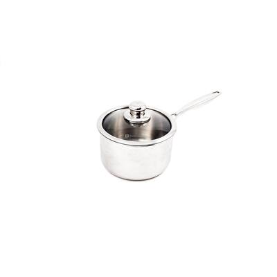Premium Clad 2.6 qt. Stainless Steel Sauce Pan with Glass Lid