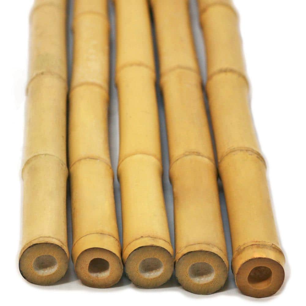 Backyard Xscapes Inc 25-Piece 6' H x 1-Inch D Bamboo Pole Bundle, Size: Natural, Beige