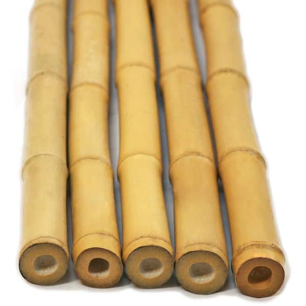 Backyard X-Scapes 1 in. D x 90 in. L Natural Bamboo Poles (25-Pack/Bundled)