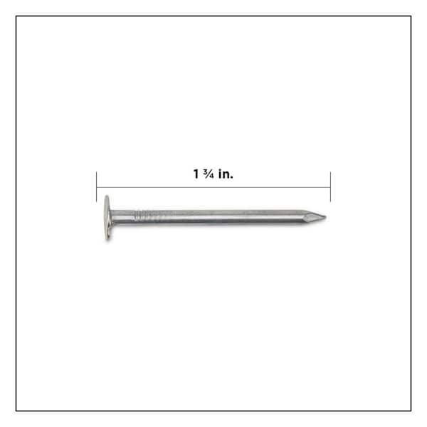 1-3/4 in. Electro-Galvanized Roofing Nail 25 lbs. (3875-Count)