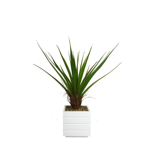 Laura Ashley 50 in. Tall Agave Plant with Cocoa Skin in 14 in. Fiberstone Planter