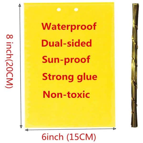 10/20/30*Dual-Sided Yellow Sticky Traps for Flying Plant Insect Like Fungus Gnat 