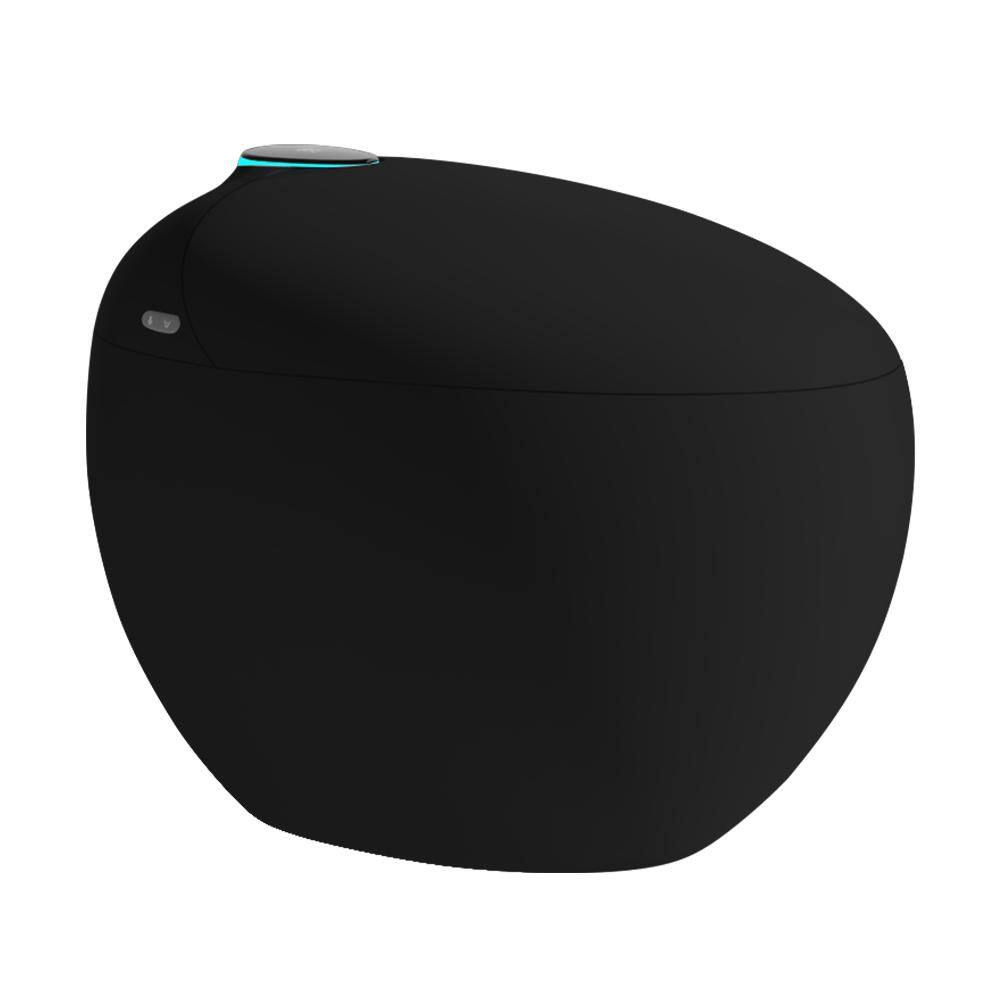 Egg-Shaped Round Bidet Toilet 1.19 GPF in Black with Tank, Auto Open/Close, Heated Seat, Dryer, Night Light price history on PriceWatchPro