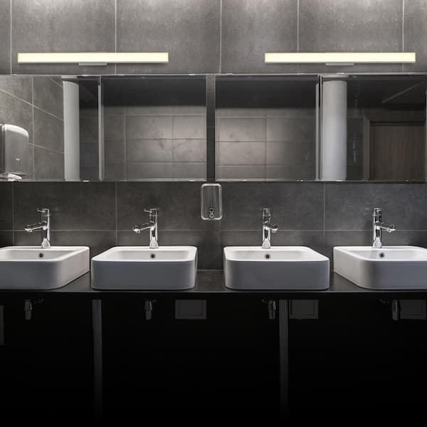 Procyon 24 in. 24-Watt Silver ETL Certified Integrated LED Vanity and Bathroom Lighting Fixture AC LED ADA Compliant