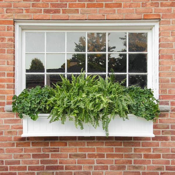 Cape Cod 60 in. x 11 in. Self-Watering White Polyethylene Window Box