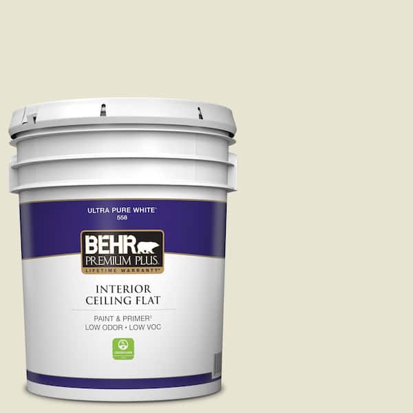 Behr Premium Plus 5 Gal 73 Off White Ceiling Flat Interior Paint 55805 The