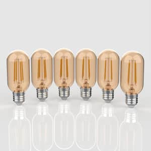 40-Watt Equivalent T45 LED Non-Dimmable Edison Glass Bulbs w/E26 Base, WW 2700K, 350 Lumen, Tinted Amber (Pack of 6)
