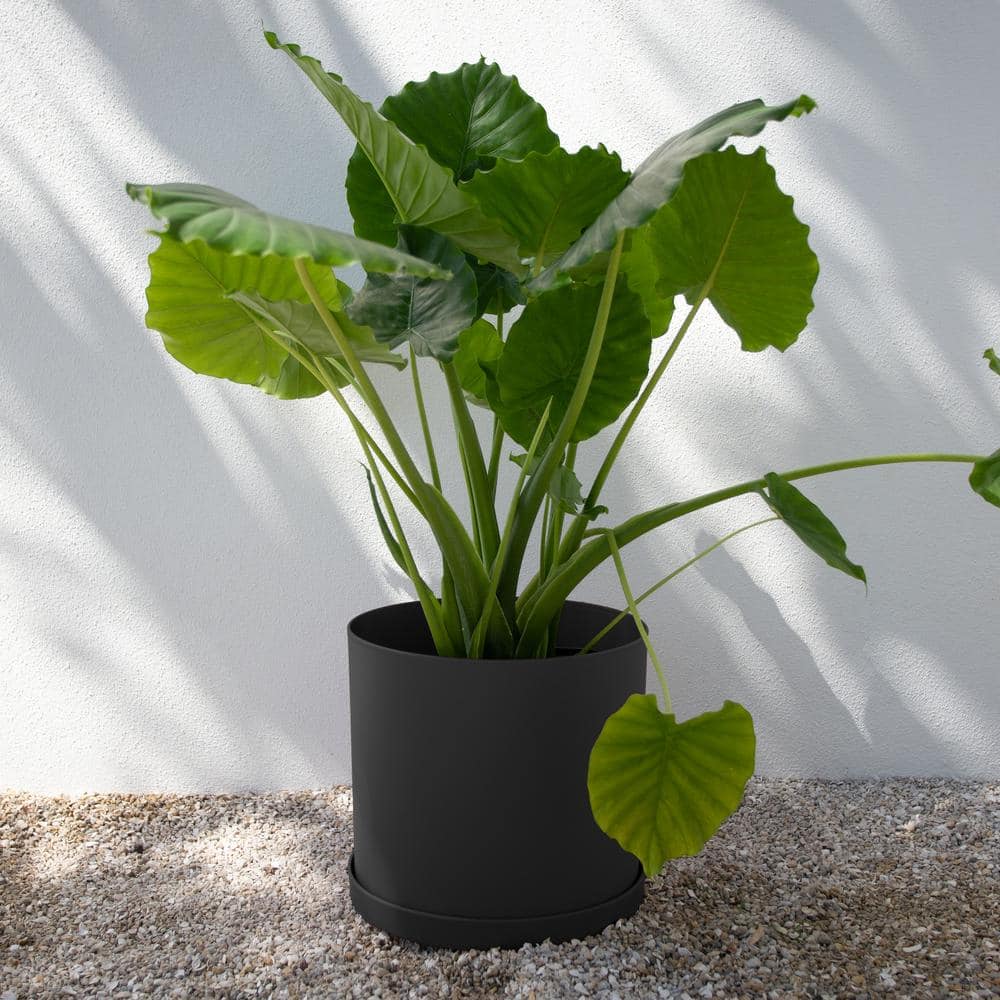 12" Black Polypropylene Round Planter with Saucer Tray