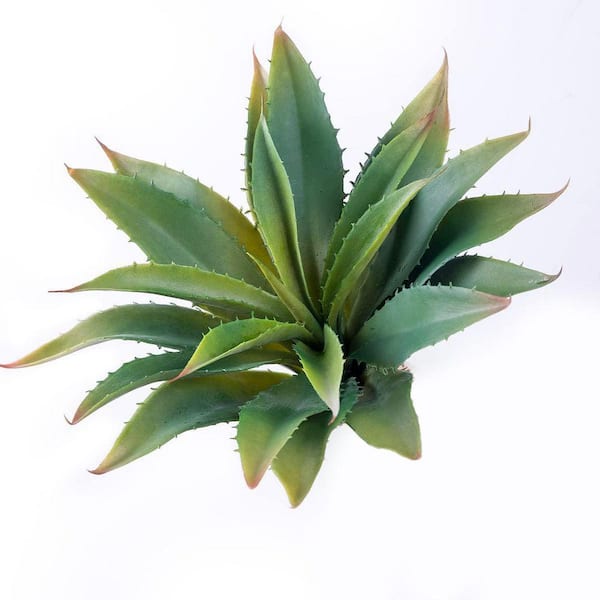 Unbranded 2 Pack 12.5 in. Green Indoor/Outdoor Artificial Aloe Plant, Large  Faux Succulents for DIY Greenery Decor 9.8 in. H SA1059B226