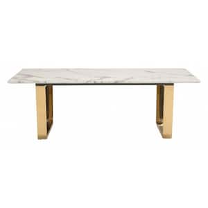 Julia 23.6 in. White and Gold Rectangle Stone Coffee Table