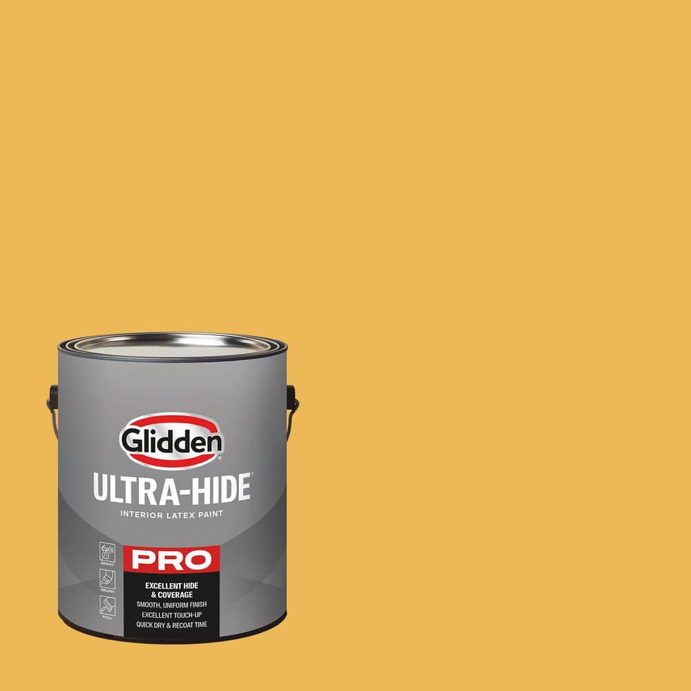 yellow-coneflower-glidden-