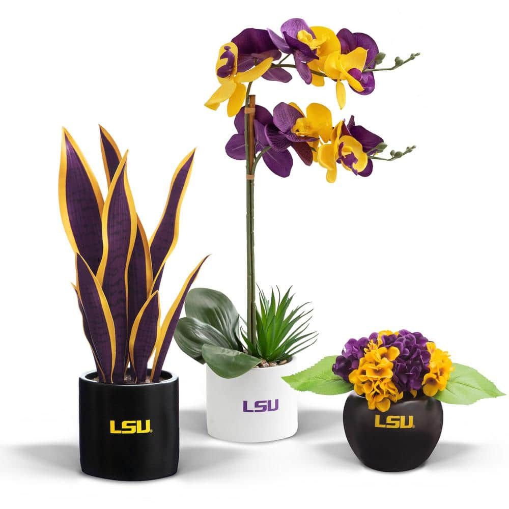 Sample Customization Flowers Plants Potted Reptiles Keeping