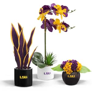 20 in. LSU Tigers Artificial Orchid Plant, Snake Plant, and Hydrangea (3-Pack)