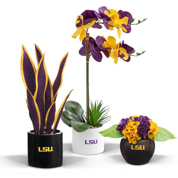 FOREVER LEAF 20 in. LSU Tigers Artificial Orchid Plant, Snake Plant, and  Hydrangea (3-Pack) FL06114LSU - The Home Depot