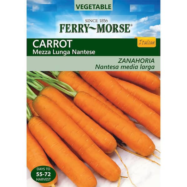 Carrot Mezza Lunga Nantes Italian Seed