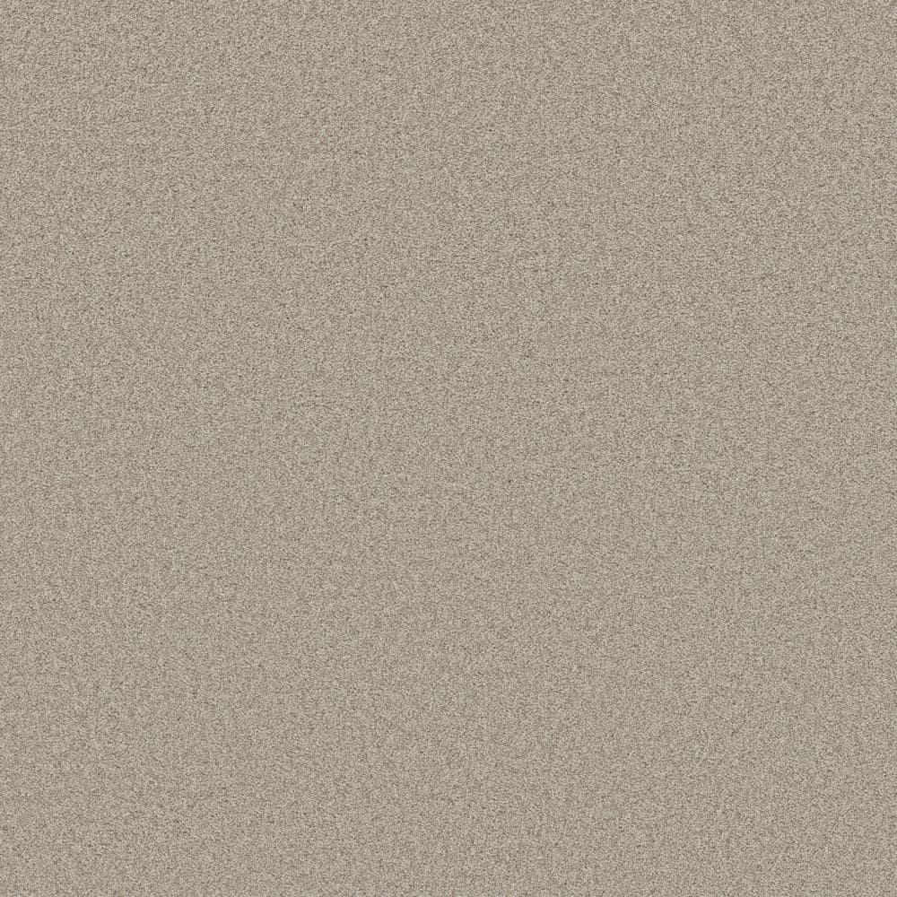 8 in. x 8 in. Texture Carpet Sample - Coastal Charm I -Color Cool Harmony price history on PriceWatchPro