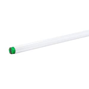 17-Watt 2 ft. Linear T8 Fluorescent Tube Light Bulb Daylight Deluxe (6500K) ALTO (1-Pack)